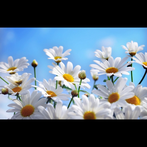 Meet your Posher. - Picture 1 of 1